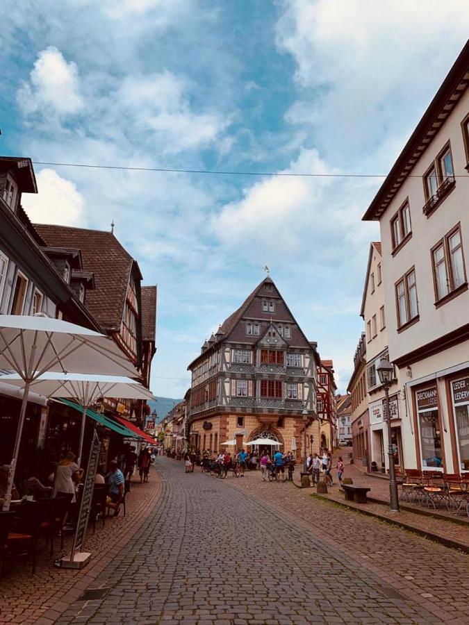 Ferienwohnung Am Brunnen Grossheubach Luaran gambar